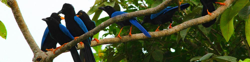 img_3145-high-resolution-2