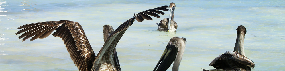 img_3145-high-resolution-2